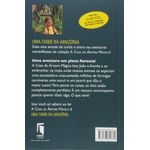 uma-tarde-na-amazonia-6