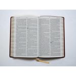 biblia-leitura-perfeita-acf---capa-marrom