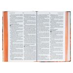 bíblia sagrada acf - entardecer