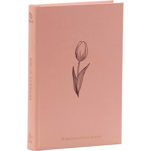 bíblia naa rose tan capa dura - 2025