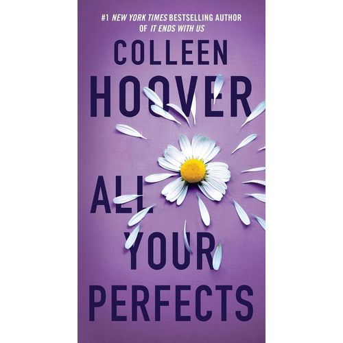 all your perfects- a novel