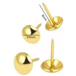 percevejo dourado 100un bacchi