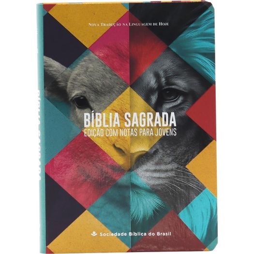 bíblia sagrada ntlh com notas para jovens bíblia sagrada ntlh com notas para jovens