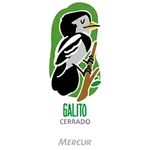 borracha tr biomas do brasil sortida avulsa