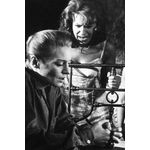 lanterna mágica - capa dura