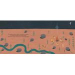 converseiro da natureza