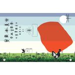 o livro da história do livro