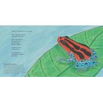 brasileirinhos da amazônia