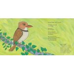 brasileirinhos da amazônia