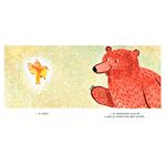 a matemática do urso