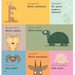 mais um livro sobre ursos