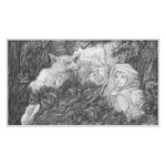 chapeuzinho vermelho - nova capa