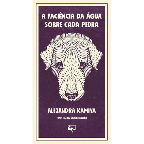 a paciência da água sobre cada pedra