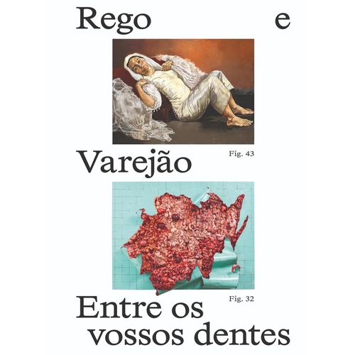 paula rego e adriana varejão
