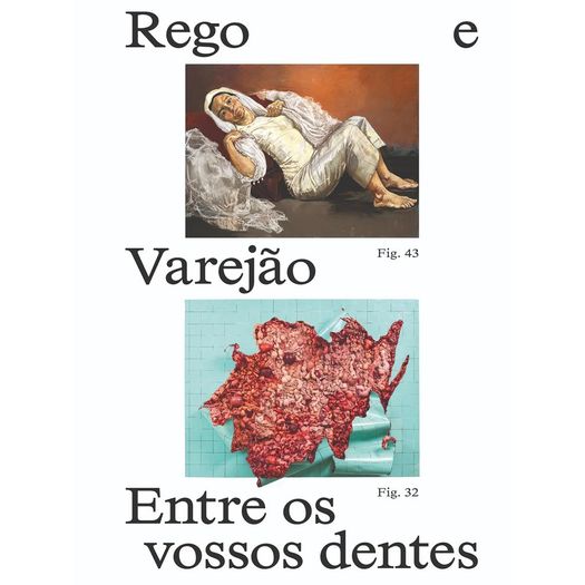 paula rego e adriana varejão