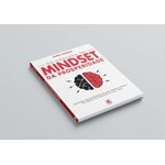 os códigos do mindset da prosperidade