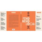 fenomenologia