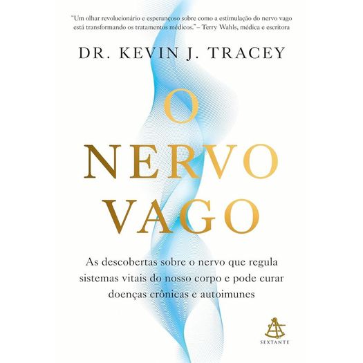 o nervo vago o nervo vago