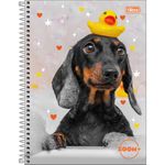 caderno-universitario-10x1-zoom--feminino