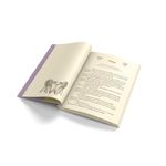 amor à primeira raiva