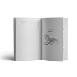 criaturas-impossiveis-2