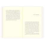 todo dia a mesma noite