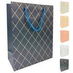 sacola-presente-hsp-onika-cores-pequena