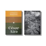 coleção césar aira 3