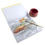 aviões e helicópteros: livro mágico para colorir