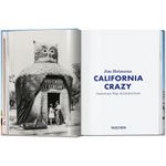 california crazy american pop architecture