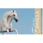 andalusians-e-lusitanos---iberian-horses