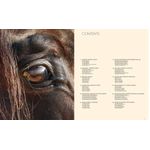 andalusians-e-lusitanos---iberian-horses