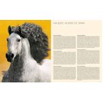 andalusians-e-lusitanos---iberian-horses