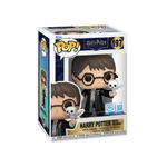 harry-potter---harry-potter-with-hedwig--197----funko