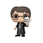harry-potter---harry-potter-with-hedwig--197----funko