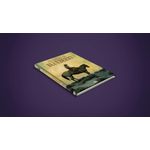 na trilha de blueberry - edição especial