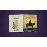 na trilha de blueberry - edição especial