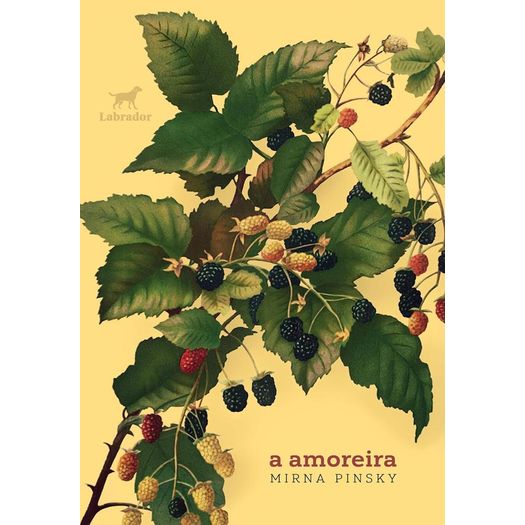 a amoreira a amoreira