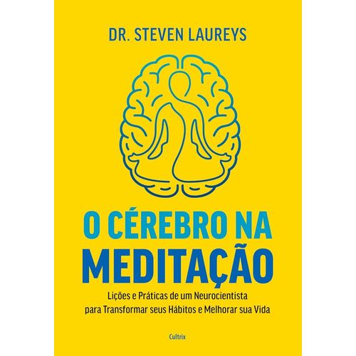 o cérebro na meditação