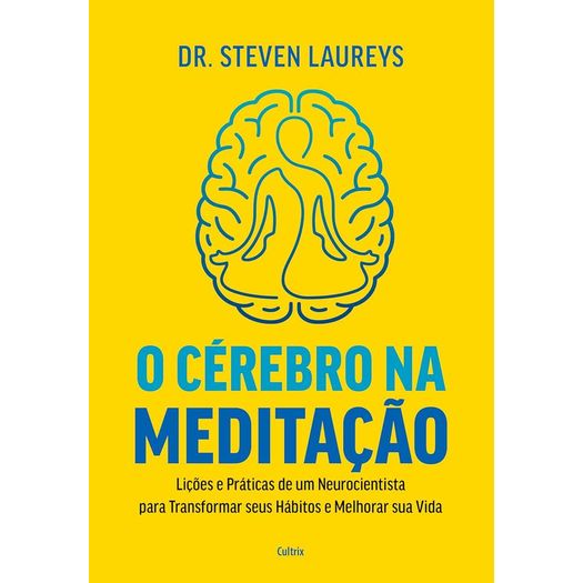 o cérebro na meditação o cérebro na meditação