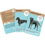 50 cães - galápagos