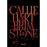 brimstone - capa dura - livro 2