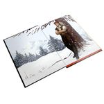 brimstone - capa dura - livro 2