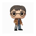 harry-potter---harry-com-pedra-da-ressurreicao--196----funko