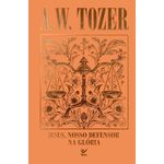 coleção tozer - jesus, nosso defersor na glória