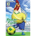 rooster fighter - o galo lutador 10 - capa variante