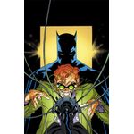 batman (2025) vol 09