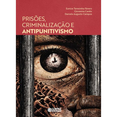 prisões, criminalização e antipunitivismo