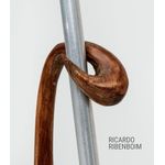 ricardo ribenboim