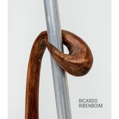ricardo ribenboim